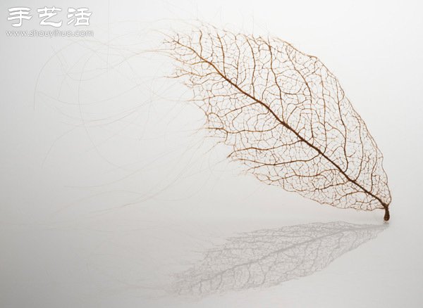 頭發(fā)絲編織落葉 宛如精致藝術(shù)品 -  rpnrmr.com