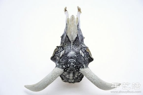 動(dòng)物骨頭、石頭上DIY的奇幻手繪 -  rpnrmr.com