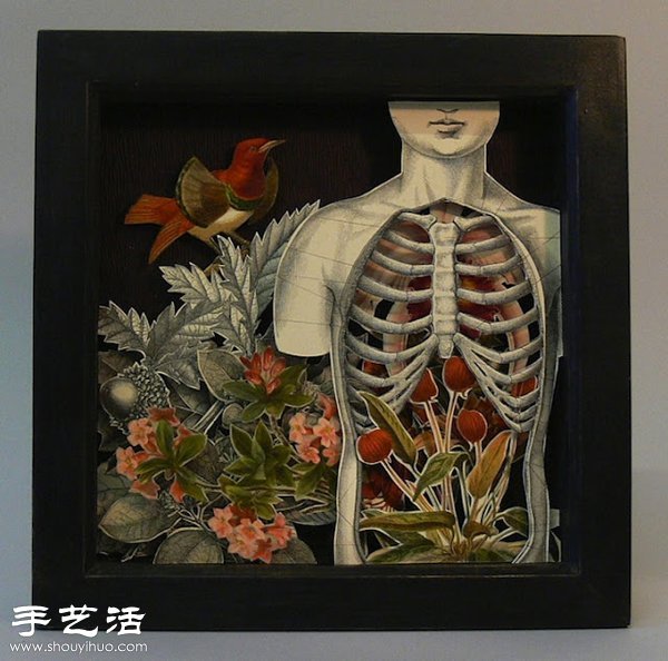 百科全書DIY神奇的紙雕作品 -  rpnrmr.com