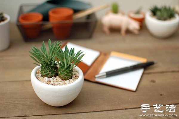 DIY萌死人的仙人掌盆栽 -  rpnrmr.com