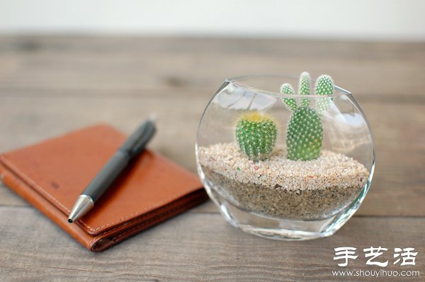 DIY萌死人的仙人掌盆栽 -  rpnrmr.com