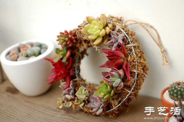 DIY萌死人的仙人掌盆栽 -  rpnrmr.com
