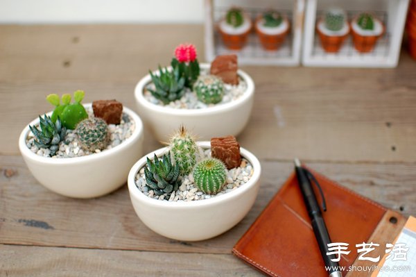 DIY萌死人的仙人掌盆栽 -  rpnrmr.com