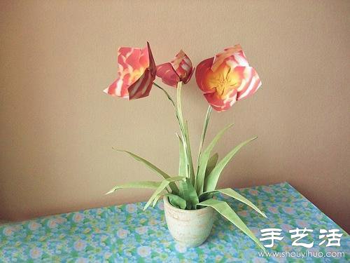 手工制作的漂亮紙花盆栽 -  rpnrmr.com