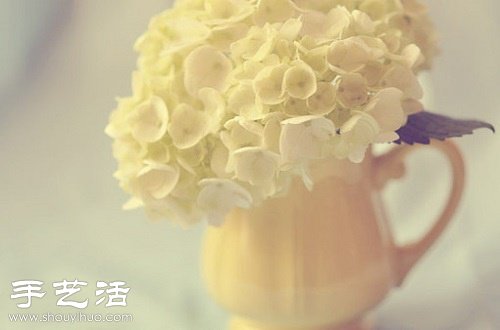讓鮮花綻放久一點(diǎn)的5個(gè)小竅門 -  rpnrmr.com
