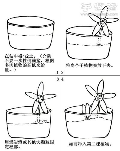 如何DIY多肉拼盤 多肉拼盤基本教程 -  rpnrmr.com
