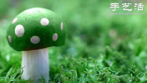 漂亮夢(mèng)幻的蘑菇 原來(lái)蘑菇也可以觀賞 -  rpnrmr.com