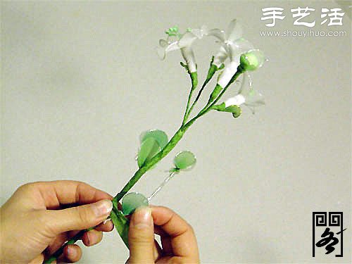 絲襪花土耳其菊的制作方法 -  rpnrmr.com