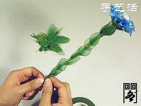 絲襪花矢車草的制作方法 -  rpnrmr.com