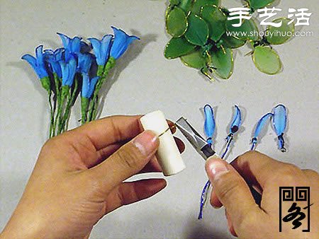 絲襪花矢車草的制作方法 -  rpnrmr.com