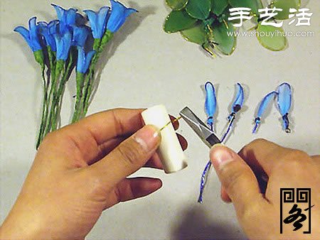 絲襪花矢車草的制作方法 -  rpnrmr.com
