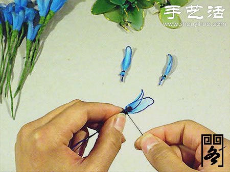 絲襪花矢車草的制作方法 -  rpnrmr.com
