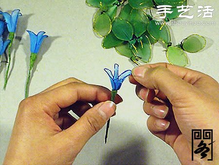 絲襪花矢車草的制作方法 -  rpnrmr.com