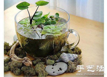 瓶瓶罐罐廢物利用DIY迷你盆栽 -  rpnrmr.com