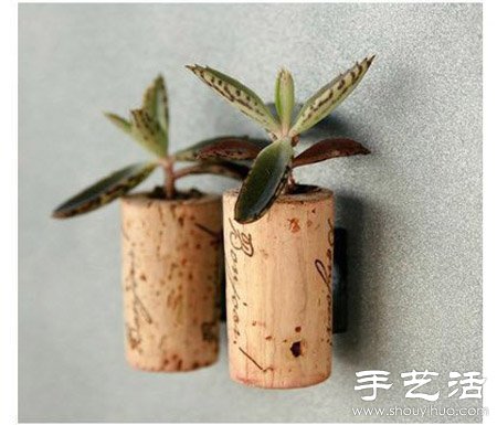 瓶瓶罐罐廢物利用DIY迷你盆栽 -  rpnrmr.com