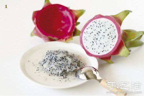 火龍果的籽DIY可愛觀賞盆栽 -  rpnrmr.com