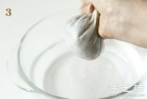 火龍果的籽DIY可愛觀賞盆栽 -  rpnrmr.com
