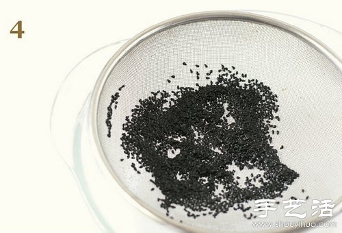 火龍果的籽DIY可愛觀賞盆栽 -  rpnrmr.com