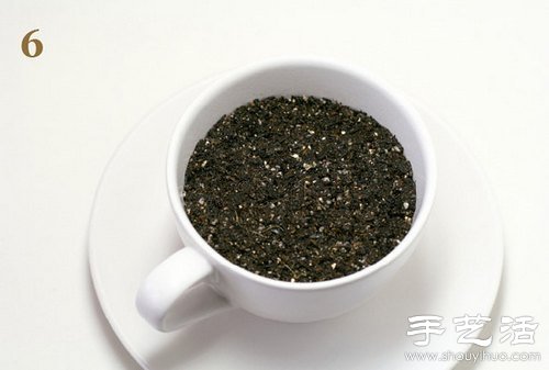 火龍果的籽DIY可愛觀賞盆栽 -  rpnrmr.com