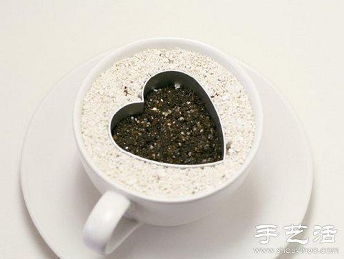 火龍果的籽DIY可愛觀賞盆栽 -  rpnrmr.com
