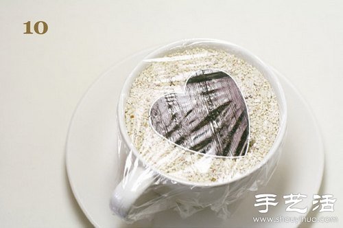 火龍果的籽DIY可愛觀賞盆栽 -  rpnrmr.com