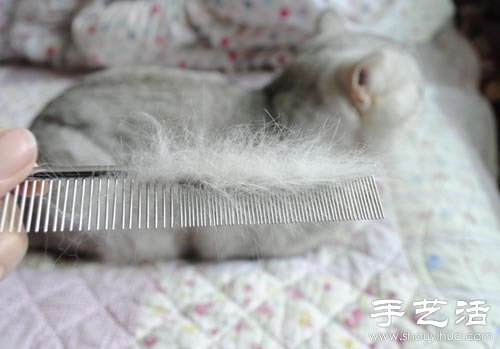 貓毛變廢為寶手工DIY毛氈掛飾 -  rpnrmr.com