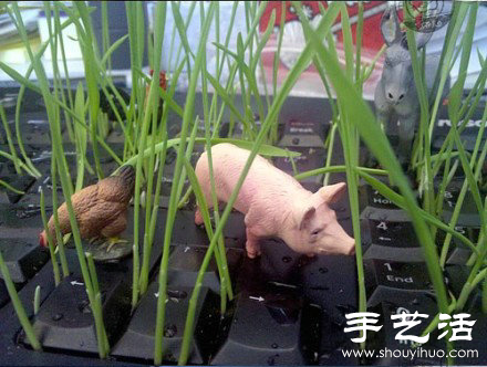 DIY長草的惡搞鍵盤 -  rpnrmr.com