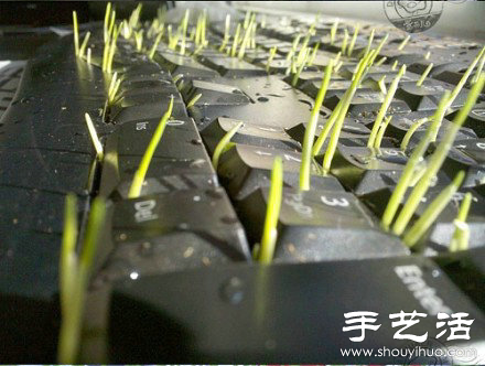 DIY長草的惡搞鍵盤 -  rpnrmr.com