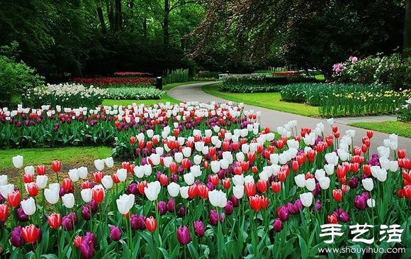 春季最美的花園——庫肯霍夫公園 -  rpnrmr.com