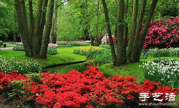春季最美的花園——庫肯霍夫公園 -  rpnrmr.com