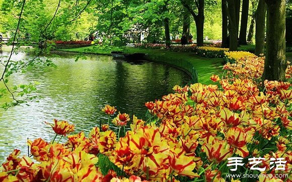 春季最美的花園——庫肯霍夫公園 -  rpnrmr.com