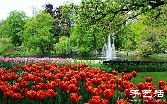 春季最美的花園——庫肯霍夫公園 -  rpnrmr.com