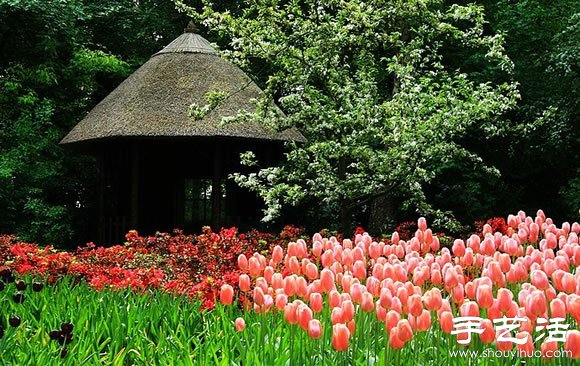 春季最美的花園——庫肯霍夫公園 -  rpnrmr.com