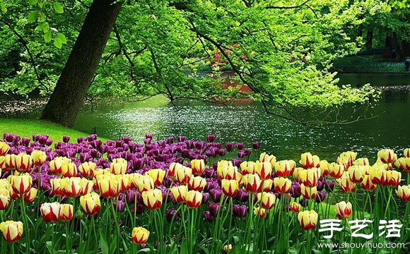 春季最美的花園——庫肯霍夫公園 -  rpnrmr.com