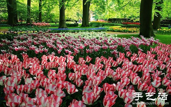 春季最美的花園——庫肯霍夫公園 -  rpnrmr.com