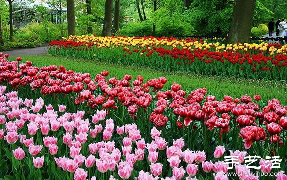 春季最美的花園——庫肯霍夫公園 -  rpnrmr.com