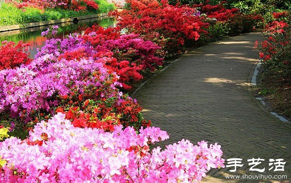春季最美的花園——庫肯霍夫公園 -  rpnrmr.com