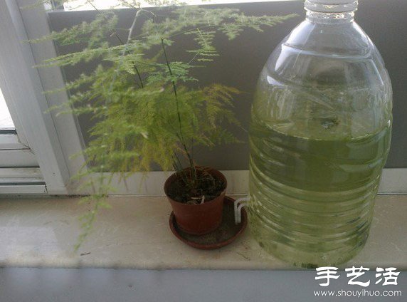 大桶礦泉水瓶廢物利用制作自動(dòng)澆水器 -  rpnrmr.com