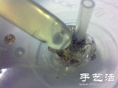 倉鼠跑輪怎么做 自制倉鼠跑輪的方法 -  rpnrmr.com