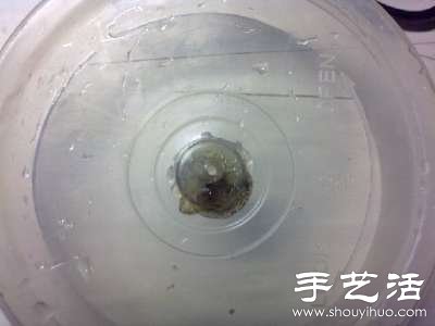 倉鼠跑輪怎么做 自制倉鼠跑輪的方法 -  rpnrmr.com