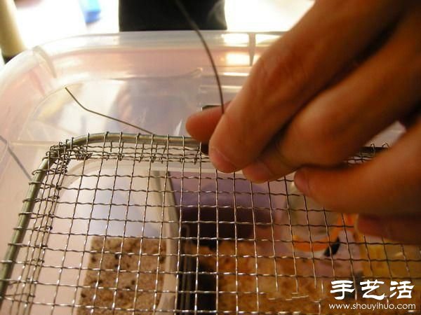 超大倉(cāng)鼠籠制作方法 整理箱DIY倉(cāng)鼠籠子 -  rpnrmr.com