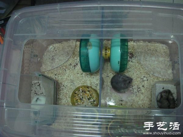 超大倉(cāng)鼠籠制作方法 整理箱DIY倉(cāng)鼠籠子 -  rpnrmr.com