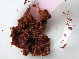 自制海藻面膜方法 海藻面膜制作教程 -  rpnrmr.com
