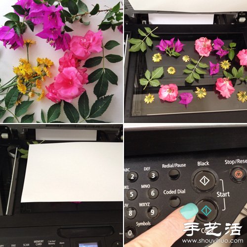 鮮花+打印機(jī) DIY制作漂亮花卉圖案包裝紙 -  rpnrmr.com