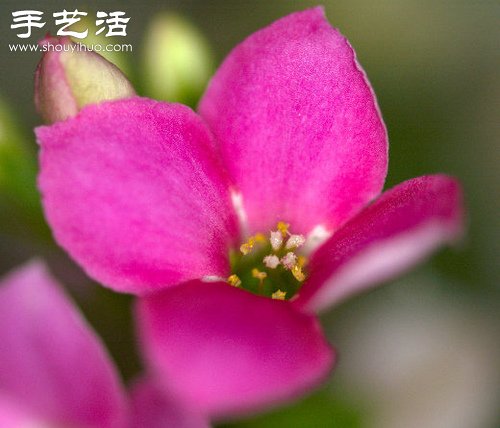 手工達(dá)人簡(jiǎn)單DIY環(huán)形閃光燈 -  rpnrmr.com