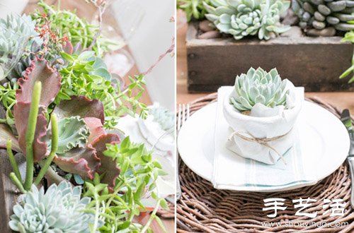 創(chuàng)意DIY小清新多肉植物盆栽 -  rpnrmr.com