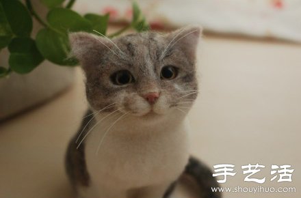 超萌的手工制作羊毛氈貓咪玩偶 -  rpnrmr.com