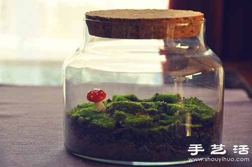 玻璃罐和苔蘚植物DIY的可愛裝飾擺件 -  rpnrmr.com