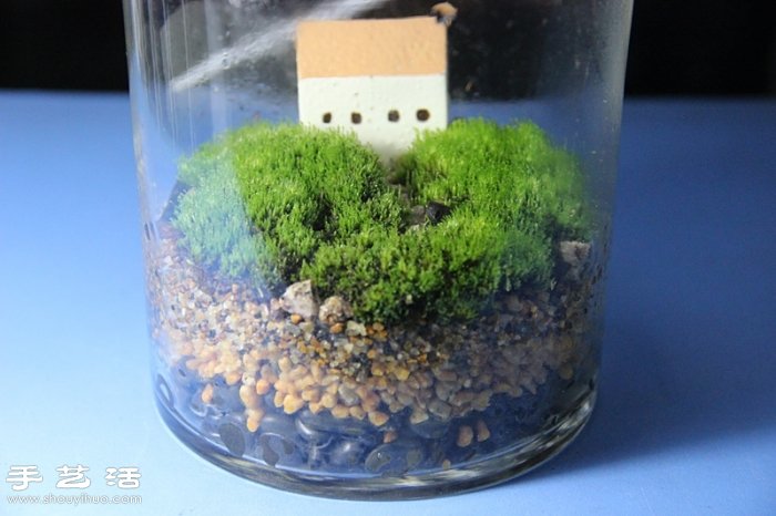 DIY可愛(ài)的苔蘚造景 自制漂亮苔蘚微景觀 -  rpnrmr.com
