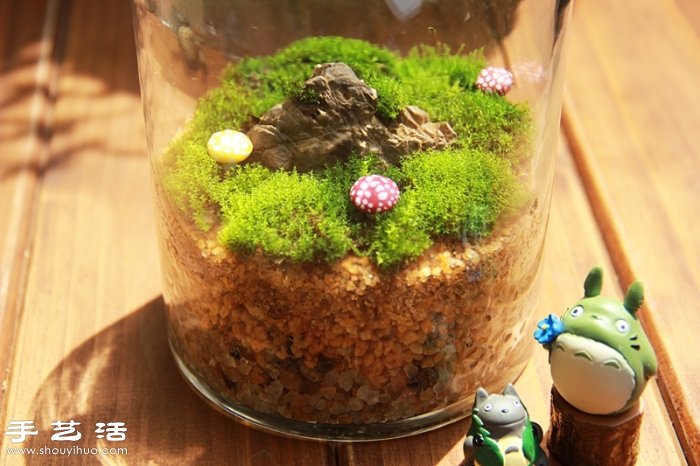 DIY可愛(ài)的苔蘚造景 自制漂亮苔蘚微景觀 -  rpnrmr.com
